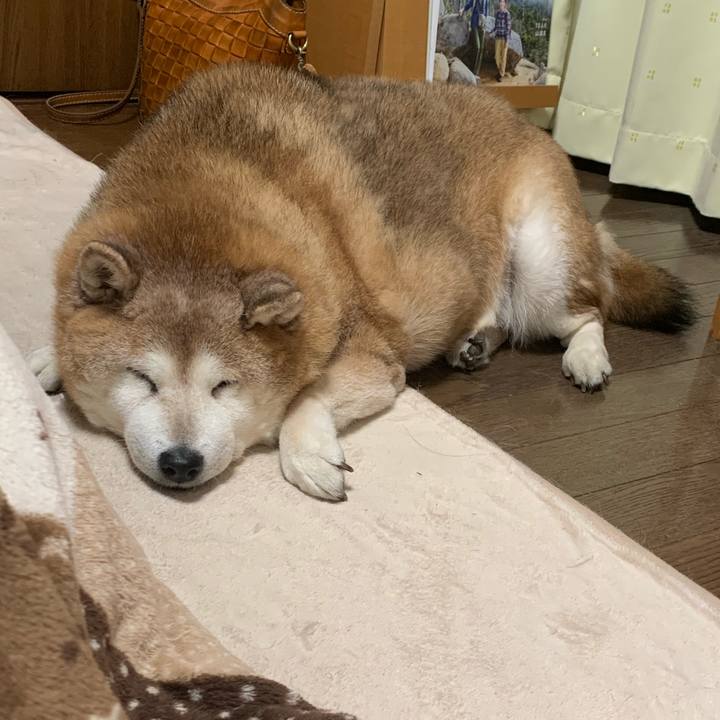 2cb39050 deae 4995 a585 298c2137821a 1611665346738