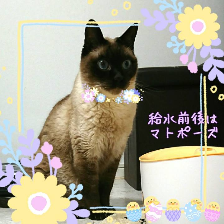 2cb394df 97cb 4aef 8a1a 6b8dd46f48cb 1555588443804