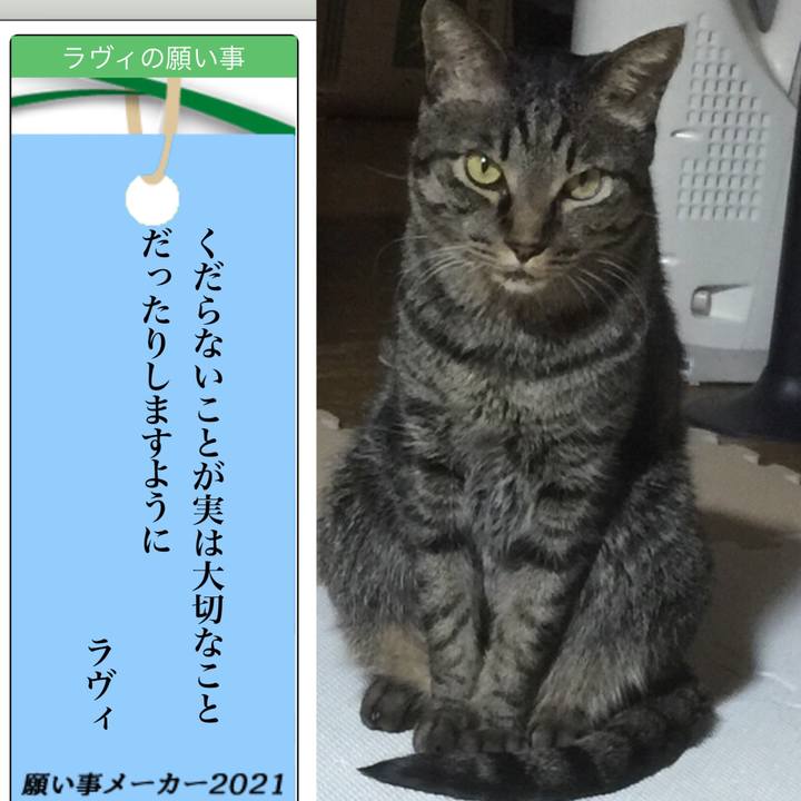 2cb3c02a cf06 4657 83a7 fe71cc554134 1625561424677