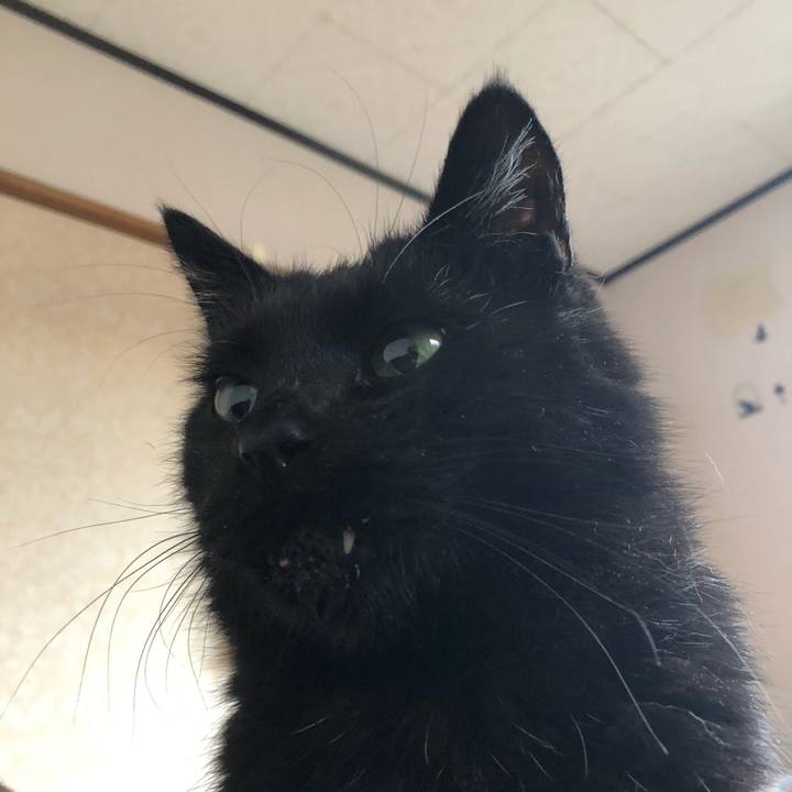 2cb407c1 1e34 476c b5f6 df412895d1e2 1634160809137