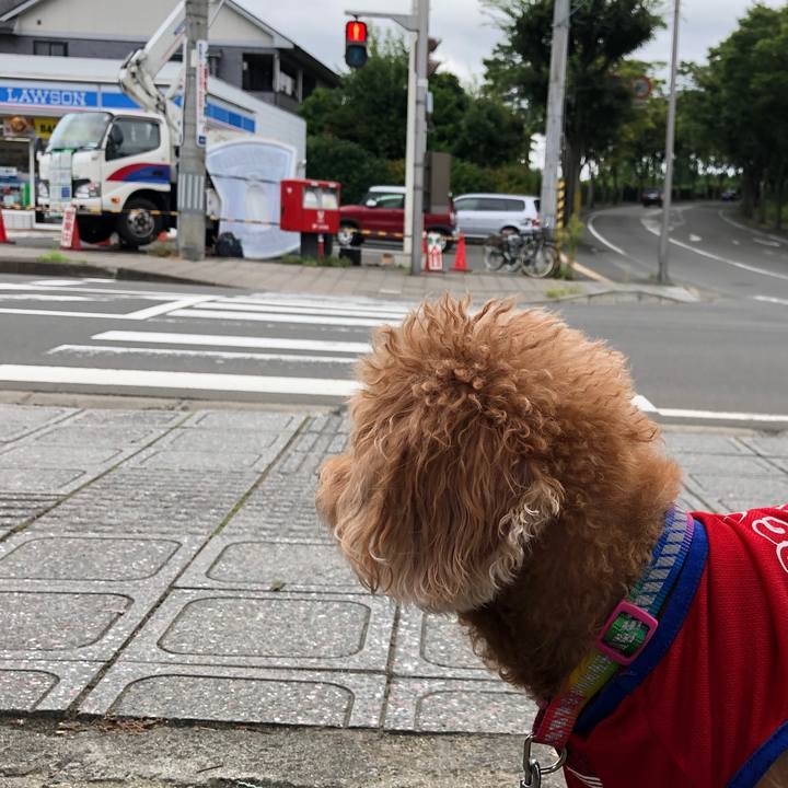 2cb41a1d 991b 4ad5 b751 4ec2e5b2af04 1567652555251