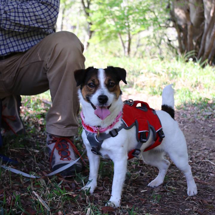 2cb44667 31fe 4b0a 9819 b7892830adec 1555832262524