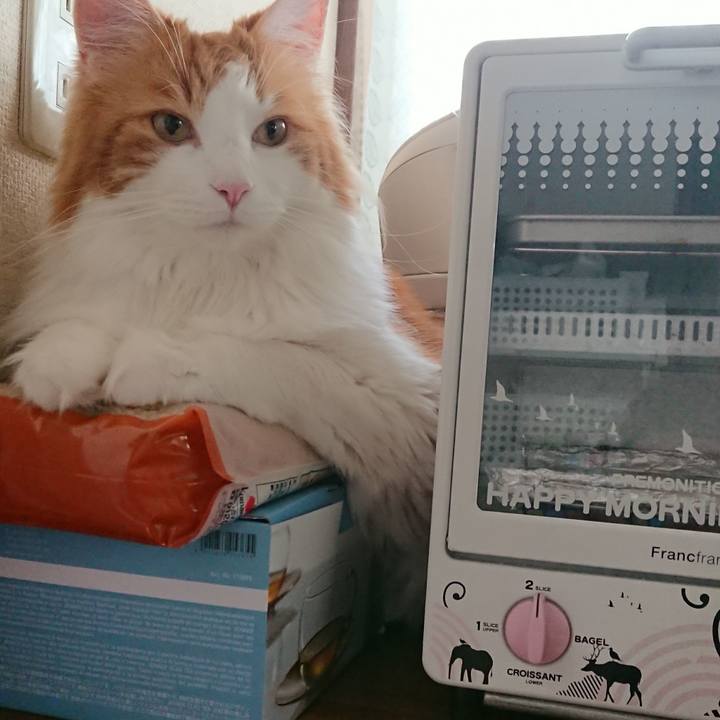 2cb47e45 e024 445d 955b 1b6d5ddc55bd 1531456397616