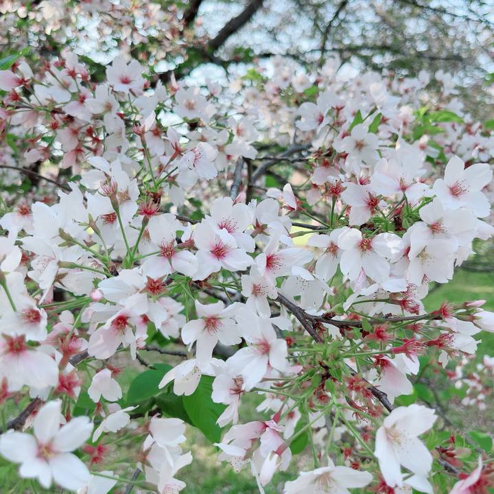 2cb48142 3691 4444 9abd a909c9490871 1713084071306