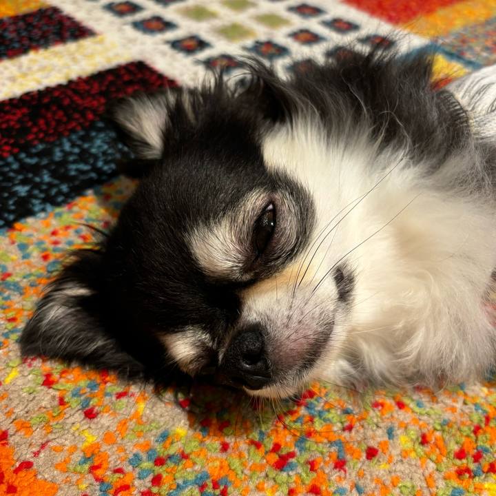 2cb48335 18f5 42d0 b744 794c3296dd12 1720888071462