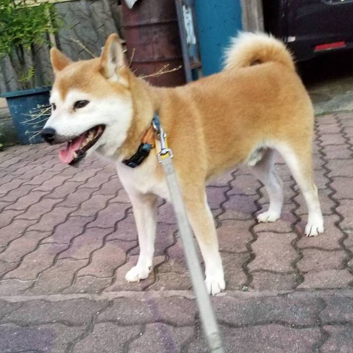 2cb4b2e3 f673 4308 af4e 20ead6c630b9 1565949000355