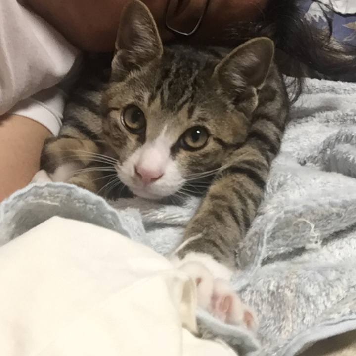 2cb4b513 aa4c 4850 b159 6c7dbd342093 1658705776346