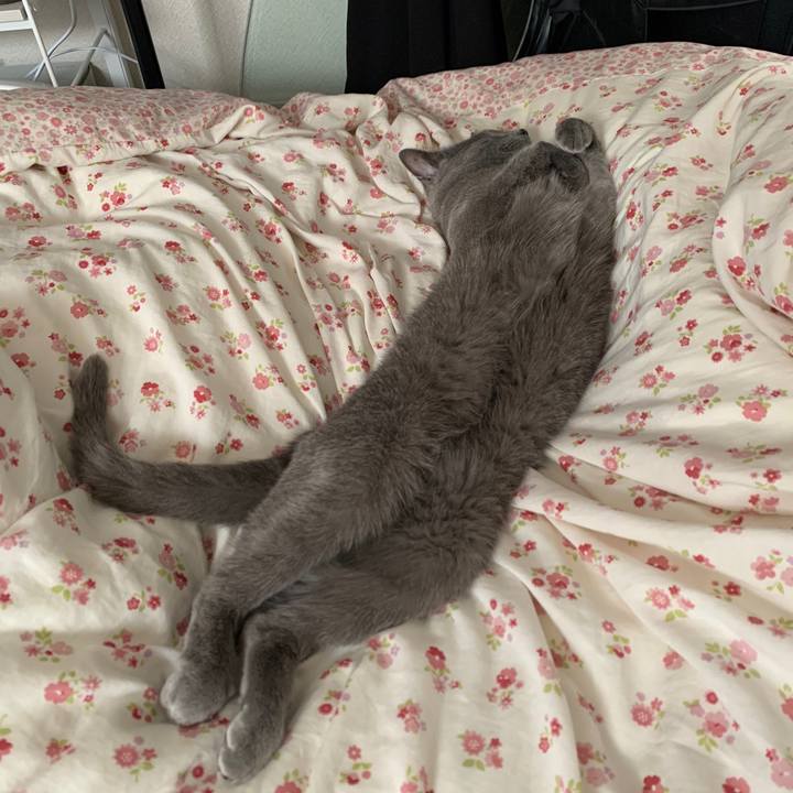 2cb4da18 3949 4490 ad39 acd032caf26f 1650360196139