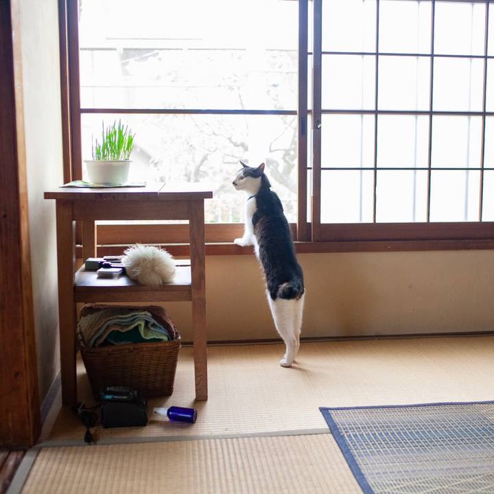 2cb4dbf8 f755 41a7 8f68 2c19c17c96c0 1593046244224