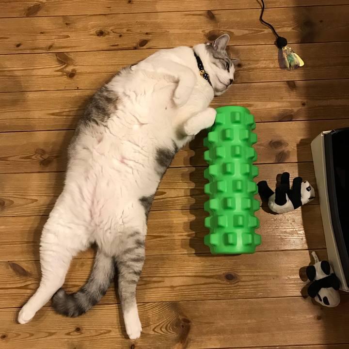 2cb4e3de 00a1 4234 a6cf 4ef1dbc1ea10 1607264569285