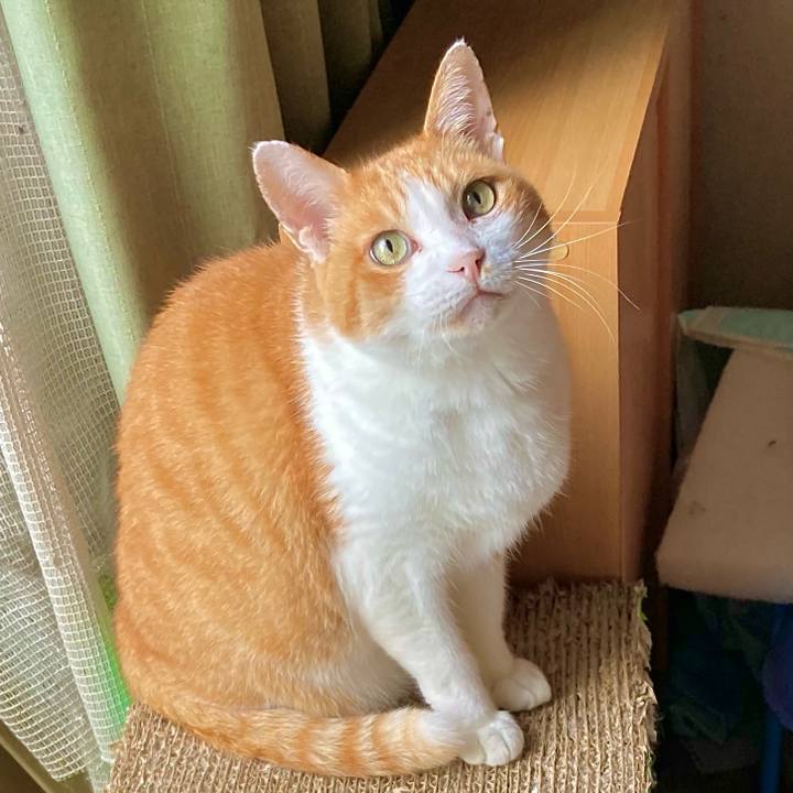 2cb51418 8190 4c32 ad7c dc376df7a422 1768561506964