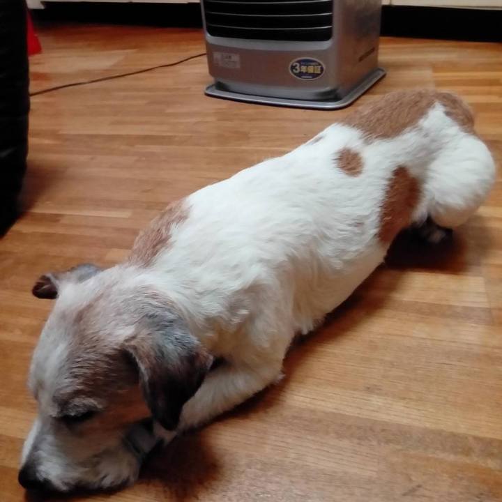 2cb524c3 2b25 4721 9036 cd9dca5b3c7b 1610882002613