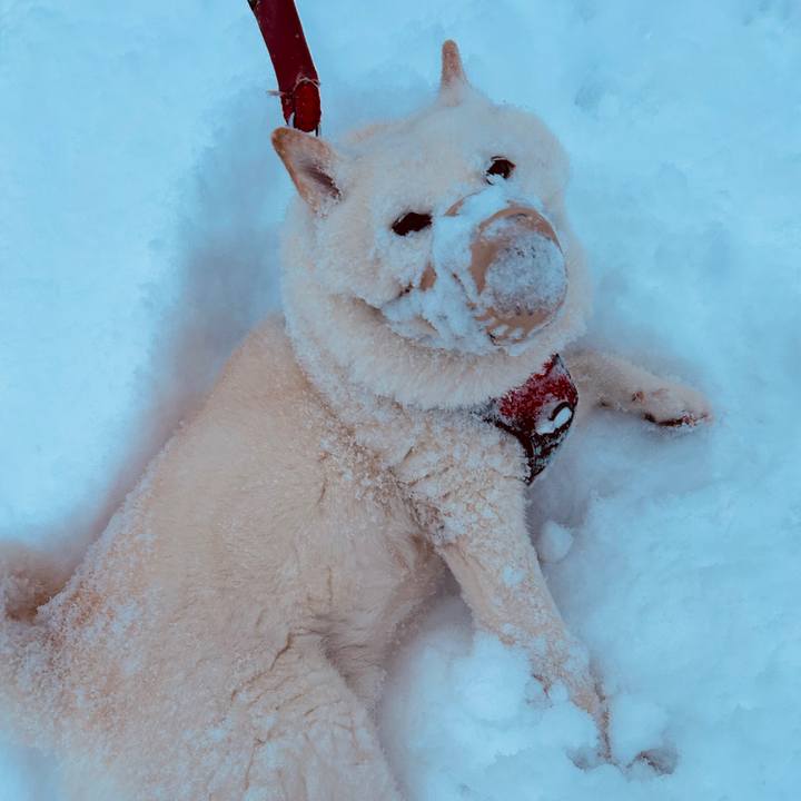 2cb58c70 a40c 4a30 8161 199a1f2b2199 1769813787068