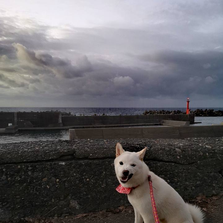 2cb5f55e 0c64 4bd9 a81b 70d792a01875 1632179585441