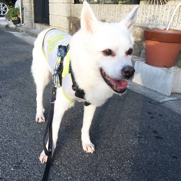 2cb63bb9 14e3 49a1 9970 9506757134b5 1534983529855