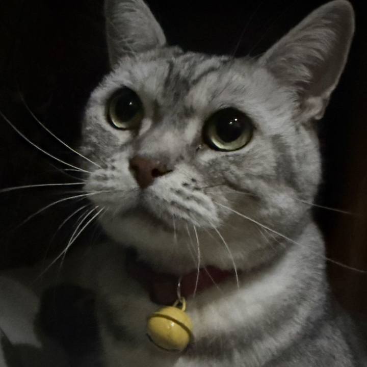 2cb650f8 70c2 4db3 b006 cbc95f3870cb 1757853507905