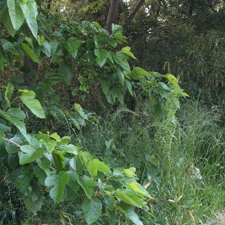 2cb69fd0 70e6 4213 ad15 ef4273a5cd56 1560120417025