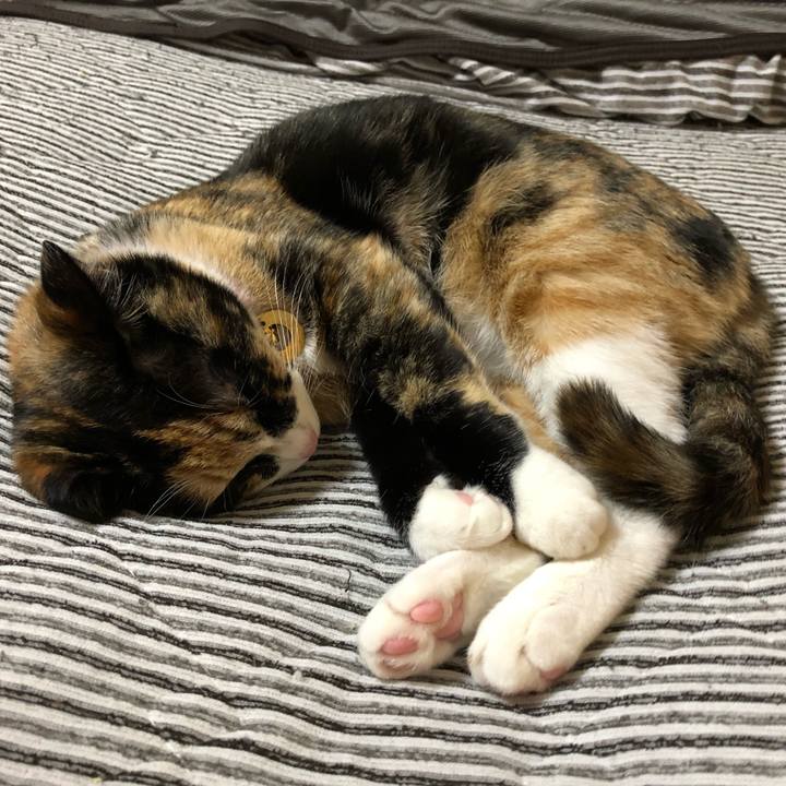 2cb6b085 2ef4 412b 906a b93bf5f53271 1559381279769