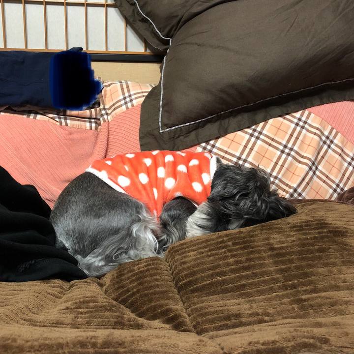 2cb6eca5 d314 41b7 b1de 4c231825c661 1641203835797