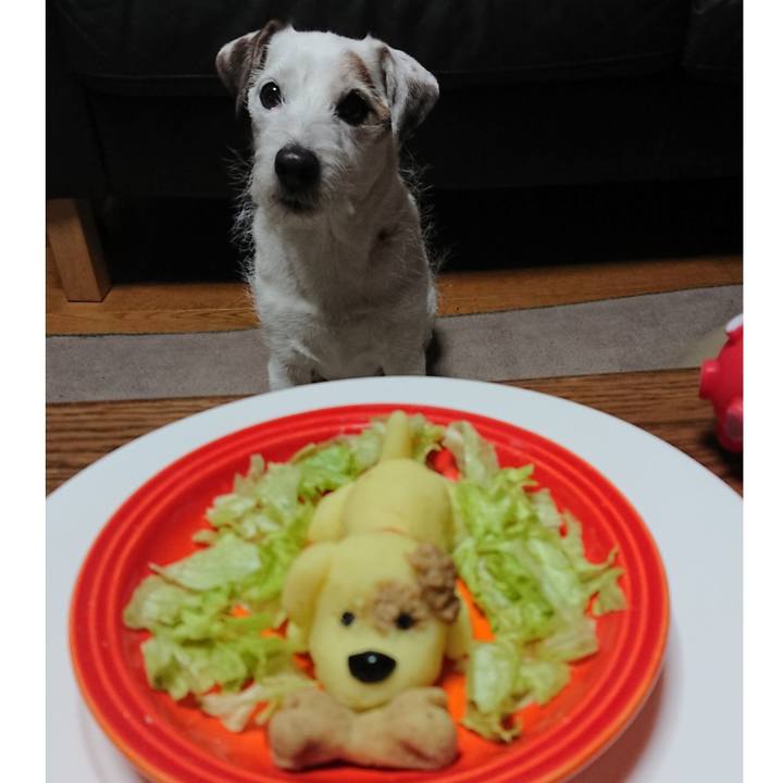 2cb70572 7130 4e5a 8318 2b1e66b1190c 1550147837679