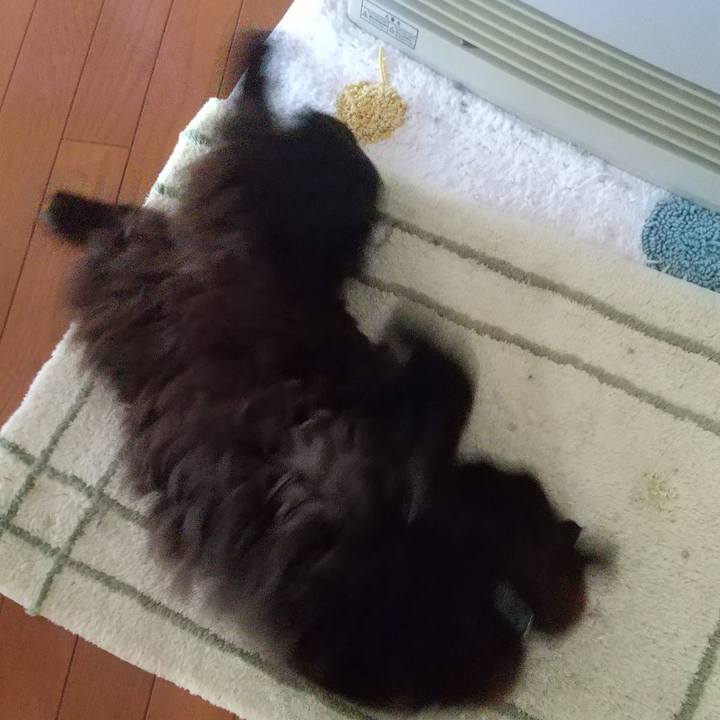 2cb762c0 2538 4d41 9931 adf70cb02f31 1677795845798