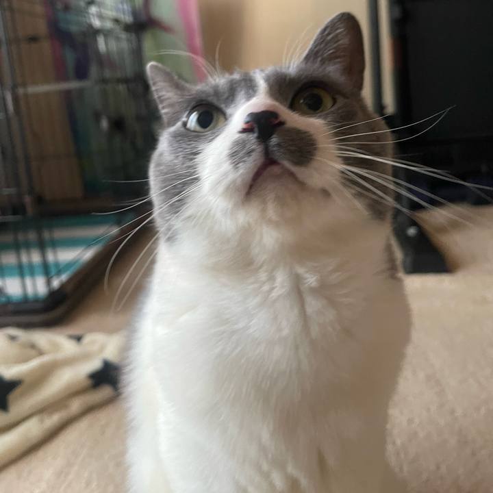 2cb76440 97b0 44ce ad2d 2140cbe83253 1739484894859