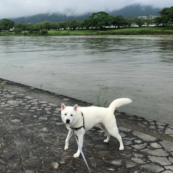 2cb78a2e 066b 4627 902f 5256ec777ed9 1594163559687