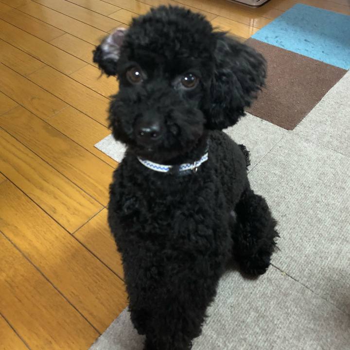 2cb78e59 518b 4337 a2dd 9d1bfa065d5a 1525594909601