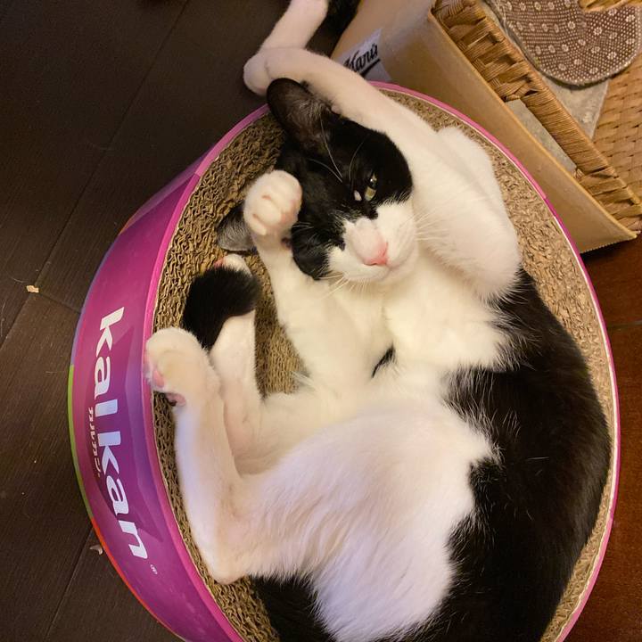 2cb7a297 e676 4461 b613 837635e6761d 1771748256171