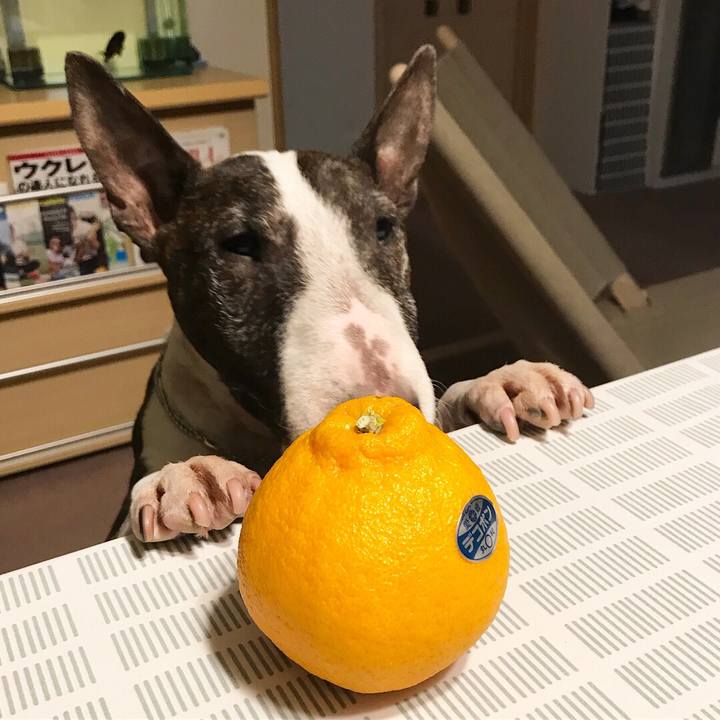 2cb7cc54 58c3 46ce 81f5 0abe70962b7f 1520586931790