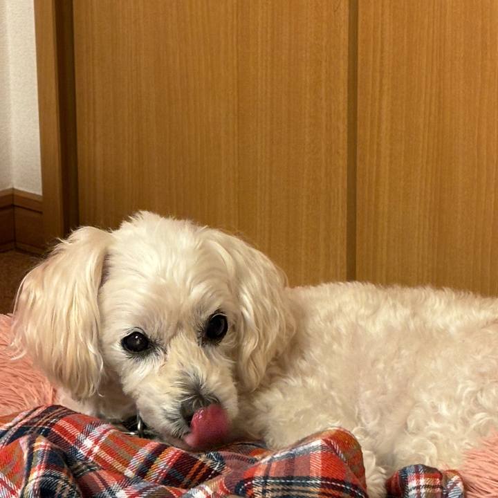 2cb7cf9d 0a92 433e 8857 cbcb3862ceb5 1763027945552