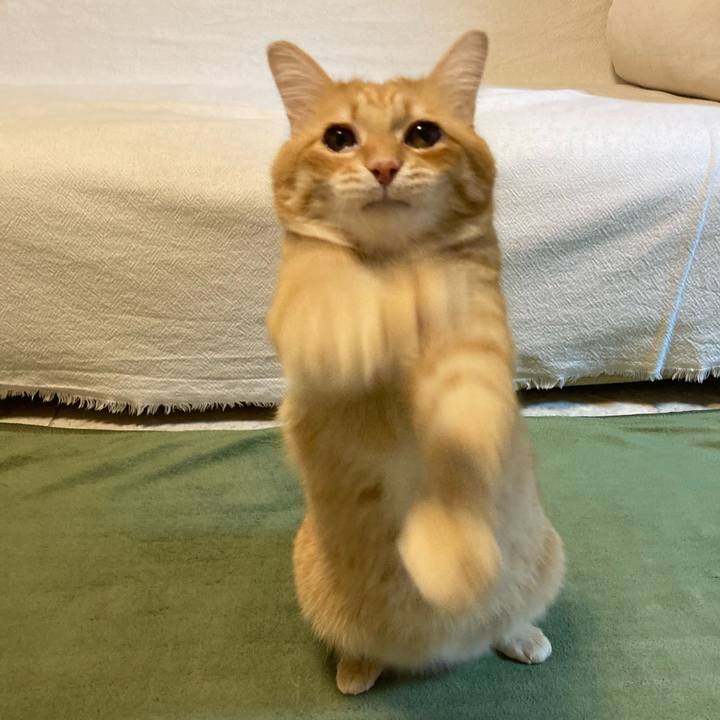 2cb7f03d 001c 4d74 bcc3 25c3db6f2b0f 1771331429750