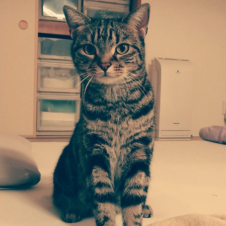 2cb85601 dfe5 4895 a94c 7ed8ce584253 1556536114636