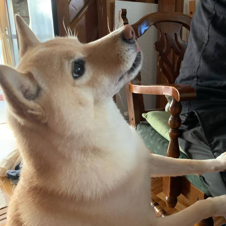 2cb86e44 b78f 4052 a1ec 77dc6e32f002 1634512345632