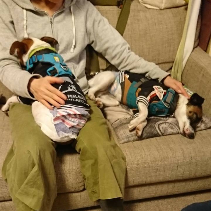 2cb87899 df43 446e b41e 5c0012927815 1580659600916