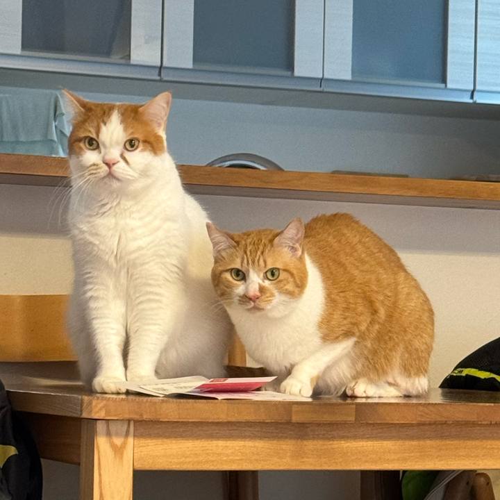 2cb8d4ef f5d8 40e5 957a 094cd888a6cf 1774093235307