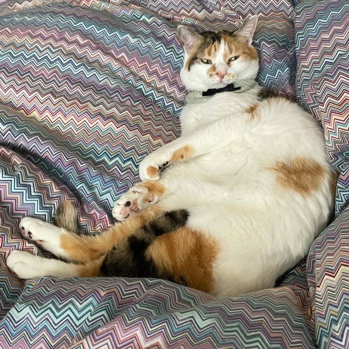 2cb8f907 0b47 4944 92ab 6fac0e3dd5a3 1684899703313