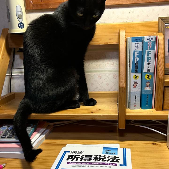 2cb902cb 6733 4b7b a42e f91109997f81 1677846407883