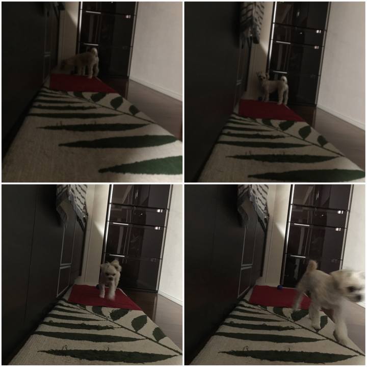 2cb927b6 041d 4f60 ae75 897af66f9ba3 1521029550032