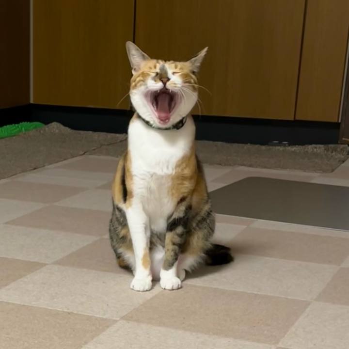 2cb98c9f 2676 421d ac87 1a4ca224b13d 1695766938792