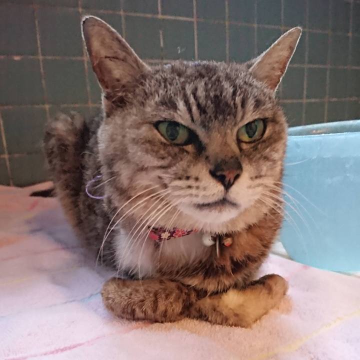 2cb993bf 1f00 462a aa3f 204317480421 1712519595623