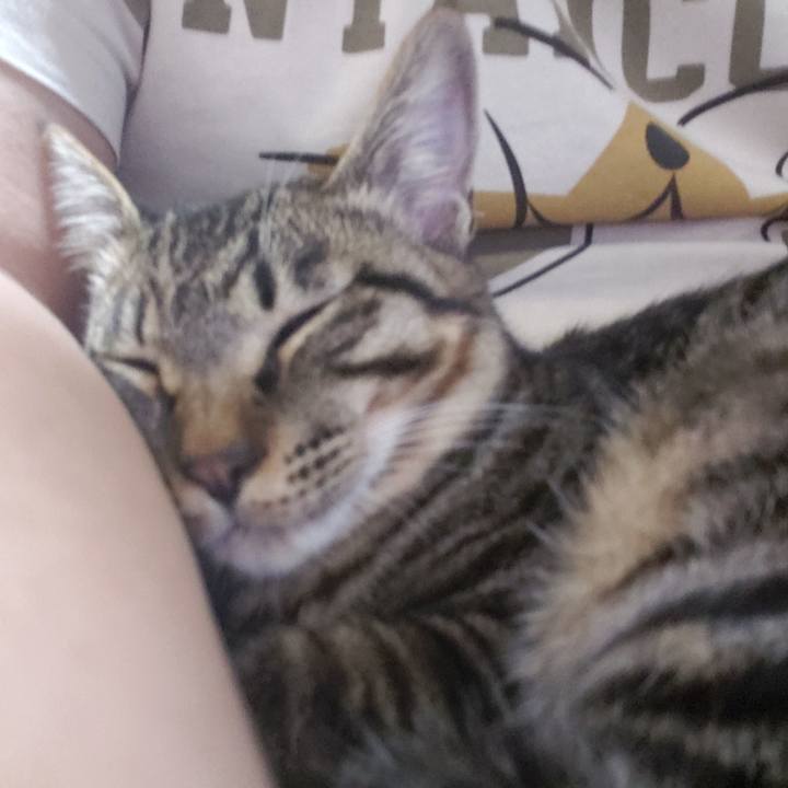 2cb99534 c237 4146 8480 900d9add29da 1544532066179