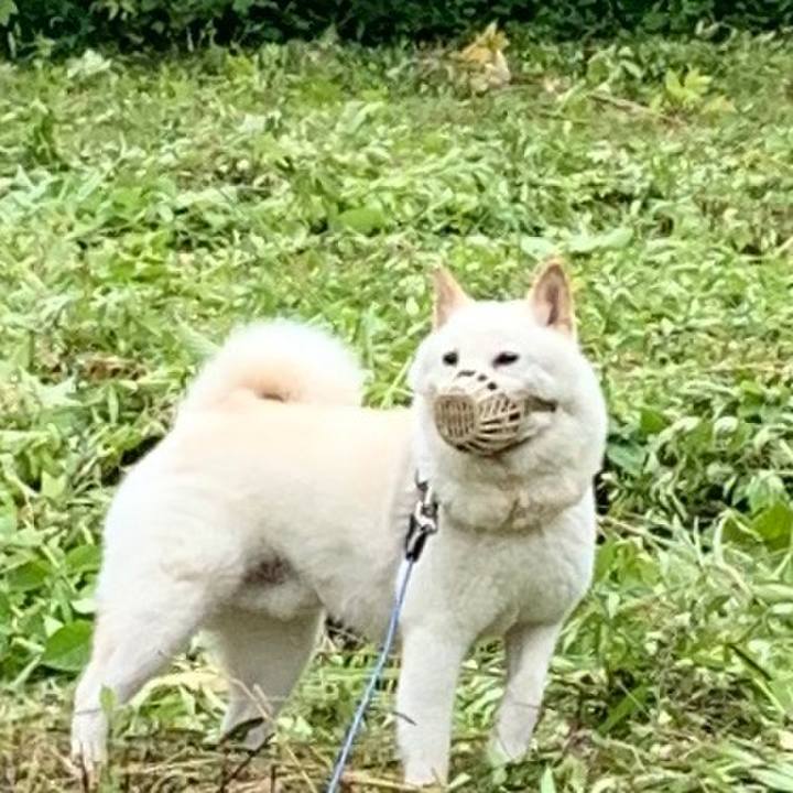 2cb9c677 665c 4600 ab96 e106ae956c42 1595556468242