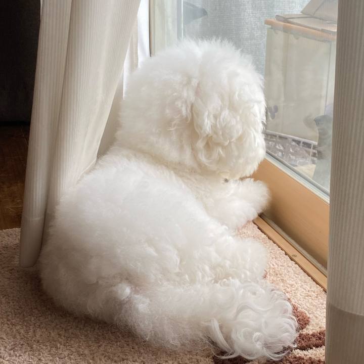 2cb9e2a8 a161 4a6d 9d52 1aade1ed353b 1655879590395