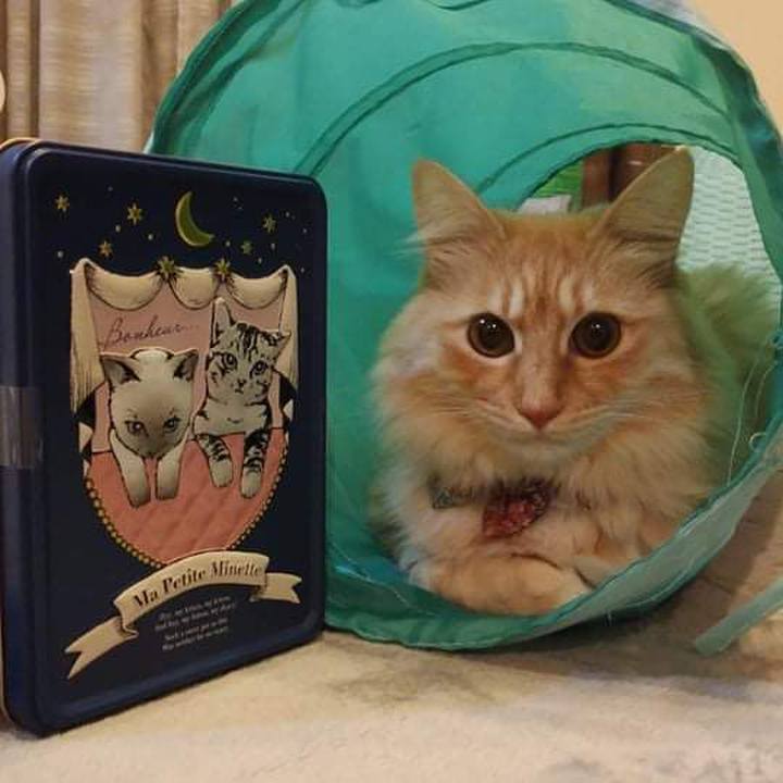 2cb9f0ec 1bf5 4256 bafd fff3fe717cd9 1644843713238