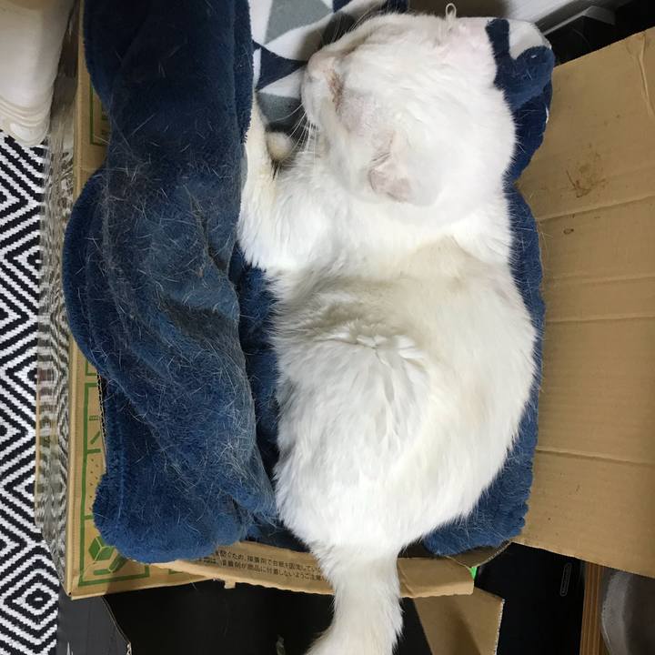 2cb9f87b 4424 4d0a a203 20315b98f552 1541854294813