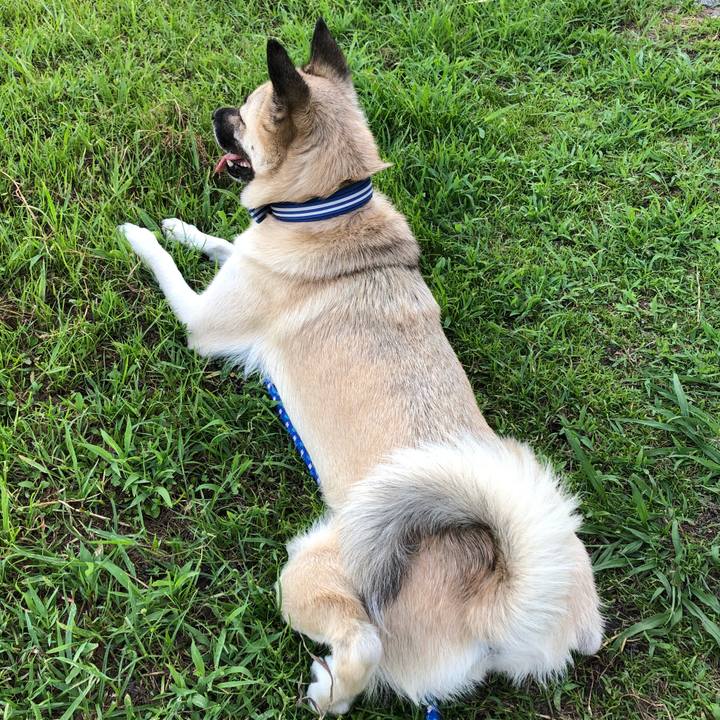 2cba13ff 4266 402d b443 e47681051b41 1534598148725