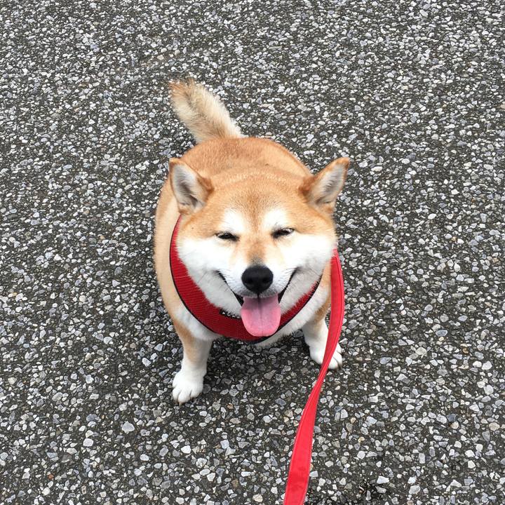 2cba63b1 20f6 4c50 89f8 a16c4c9c3082 1591238168840