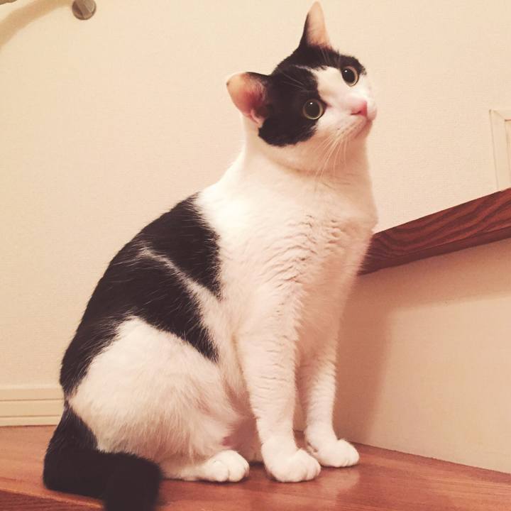 2cba66ad 5401 489e 8581 173c1181337a 1518677154871