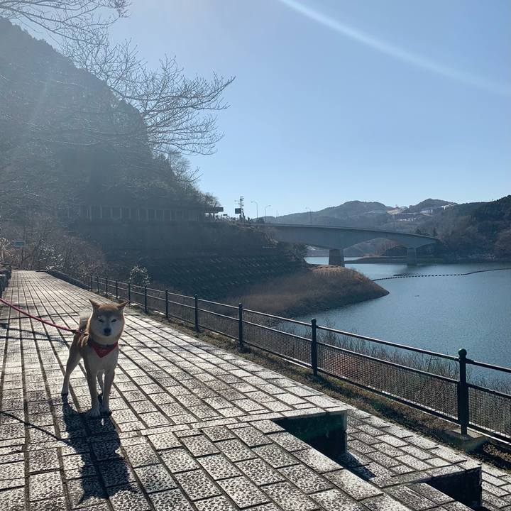 2cba9724 a157 48b8 af8a a58d077c84e8 1611651253353